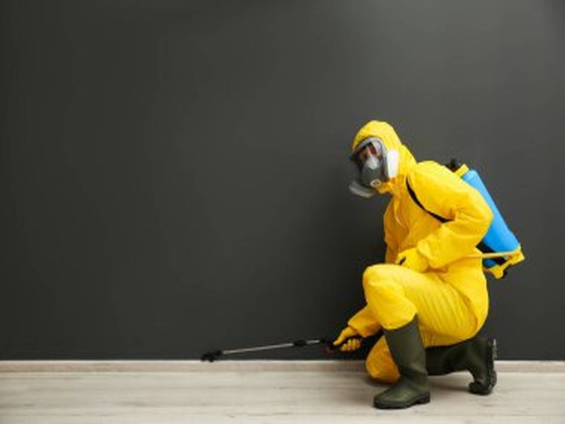Pest Control Sydney: How to Prevent Pest Infestations in Commercial Buildings